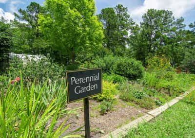 Ocean Ridge Plantation Community Gardens