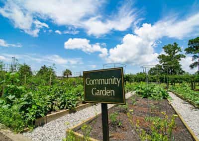 Ocean Ridge Plantation Community Gardens