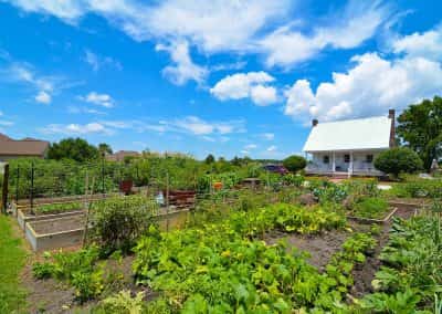 Ocean Ridge Plantation Community Gardens