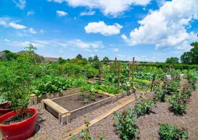 Ocean Ridge Plantation Community Gardens