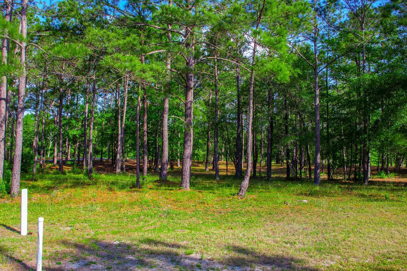 Ocean Ridge Golf Course Lot Ocean Ridge Plantation Homes and Real