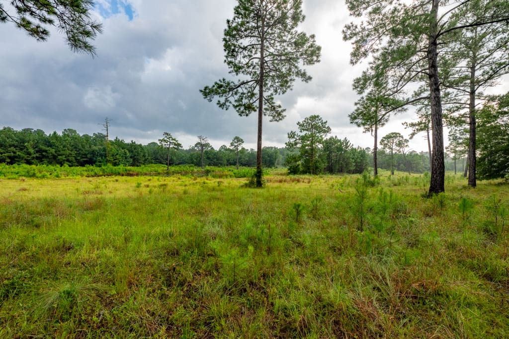 7515 Wallace Place SW | Haddington Place